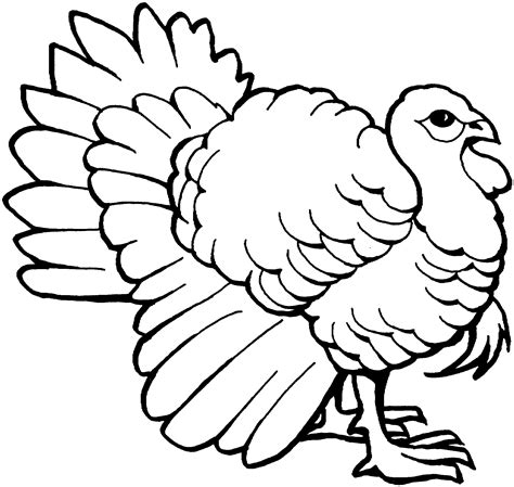 free black and white turkey clipart|free clip art turkey thanksgiving.